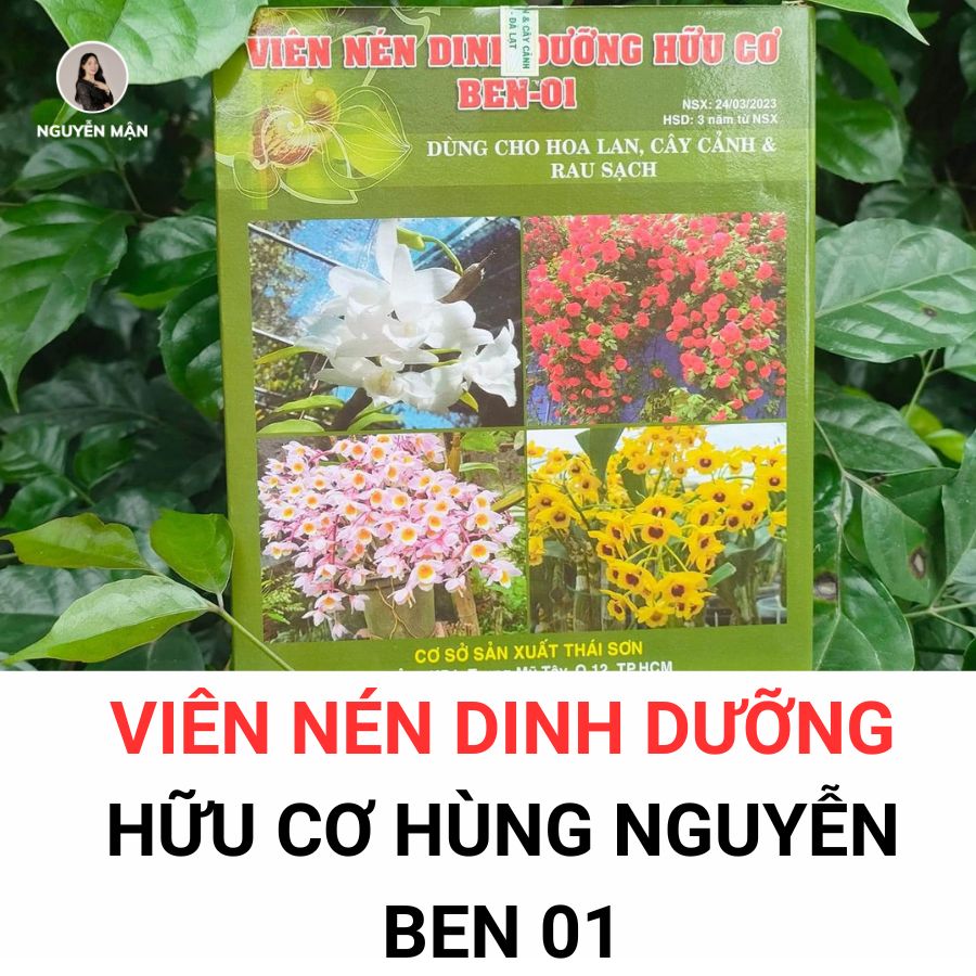 Viên Nén Dinh Dưỡng Hữu Cơ Hùng Nguyễn BEN 01