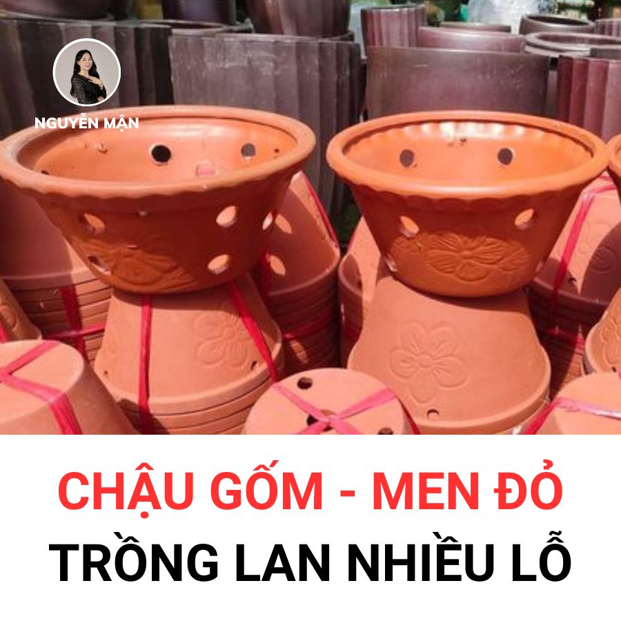 Chậu gốm – men đỏ trồng lan nhiều lỗ.